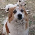 Photo of Heidi