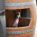 Photo of Kenny *On Trial In His New Home*