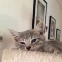 Photo of Sookie