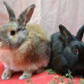 Photo of Rhett & Carmen