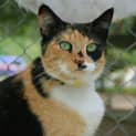 Photo of Molly