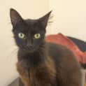 Photo of Laney