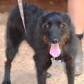 Photo of Lucy (D2580) 