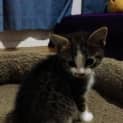 Photo of Micro