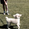 Photo of Sandy
