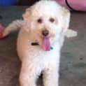 Photo of Sandy