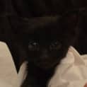 Photo of Taz (C2205) 