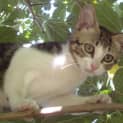 Photo of Nyah