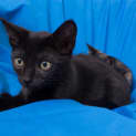 Photo of Gordon