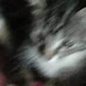 Photo of Jenson