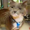 Photo of Misty 