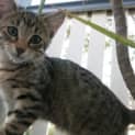 Photo of Freya