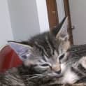 Photo of Alex