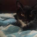Photo of Gloria