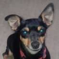 Photo of Sasha