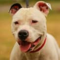 Photo of Chalky