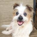 Photo of Tammy