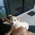 Photo of Chevy