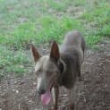 Photo of Lexie
