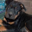 Photo of Zeus