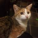 Photo of Hayleigh