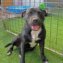 Photo of Mason