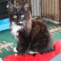 Photo of Mitsy