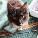 Photo of Mitsy