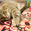 Photo of Ella