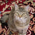 Photo of Ella