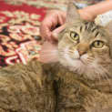 Photo of Ella