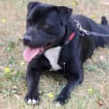 Photo of Mason