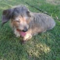 Photo of Buffy