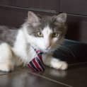 Photo of Lucky