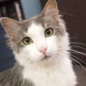 Photo of Lucky