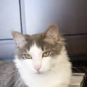 Photo of Lucky