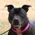 Photo of Coco