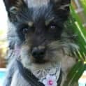 Photo of Roberto