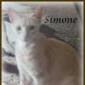 Photo of Simone