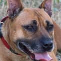 Photo of Roxy