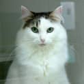 Photo of Trinity