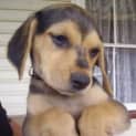 Photo of Gabby