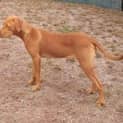Photo of Diego