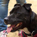 Photo of Trip