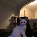 Photo of Jassy