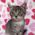 Photo of Felicity