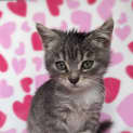 Photo of Felicity