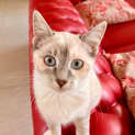 Photo of Daisy