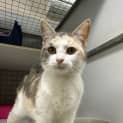 Photo of Annie