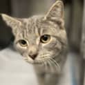 Photo of Bandit